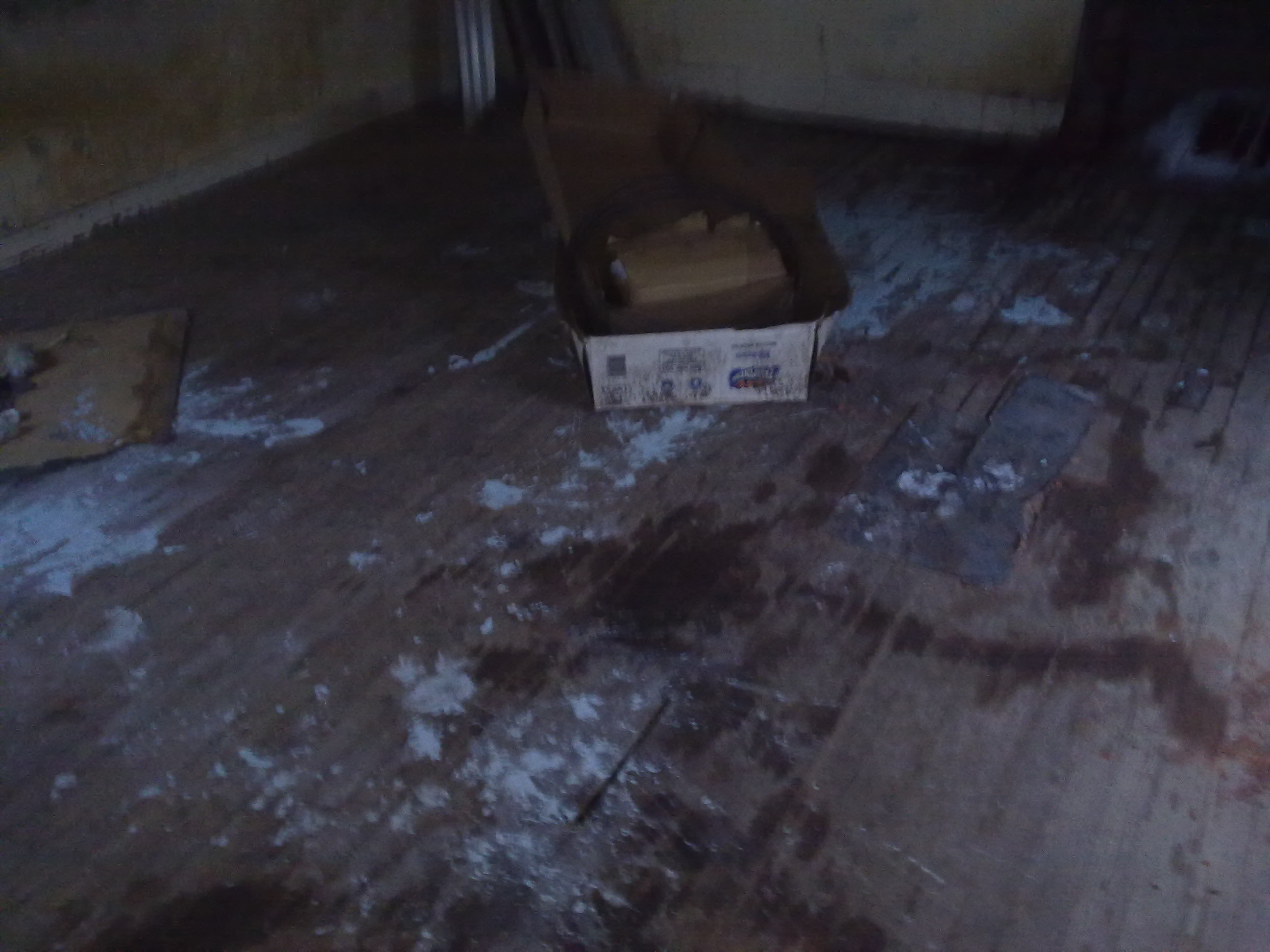 fotos/2012-11-12 - Tereno y cena Osvaldo/10032012207.jpg